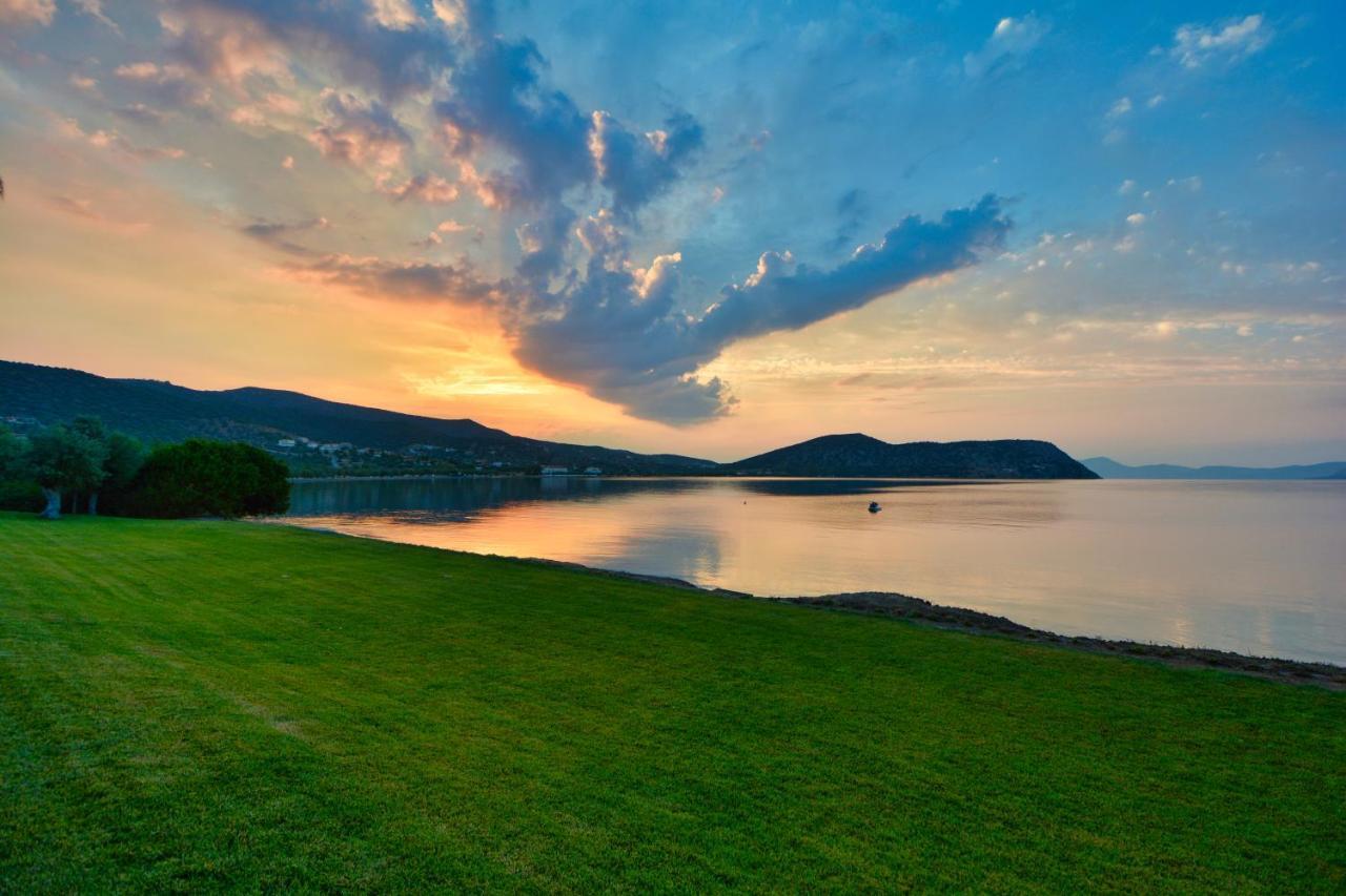 Dardiza Boutique Hotel Ermioni Exteriér fotografie